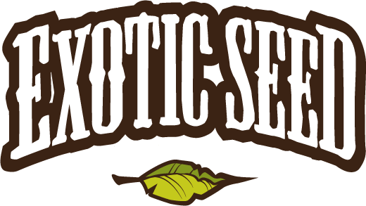 exotic seeds